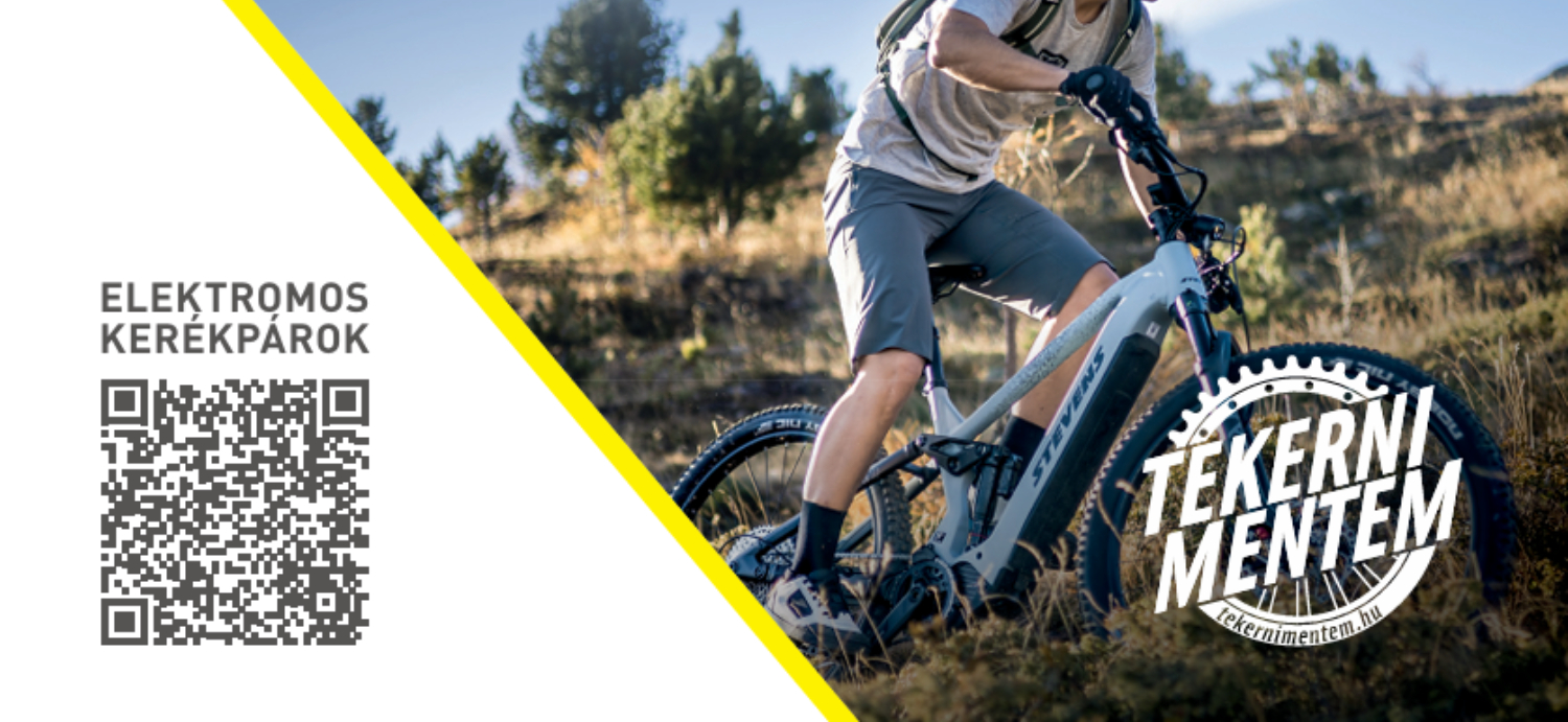 E-bike gari